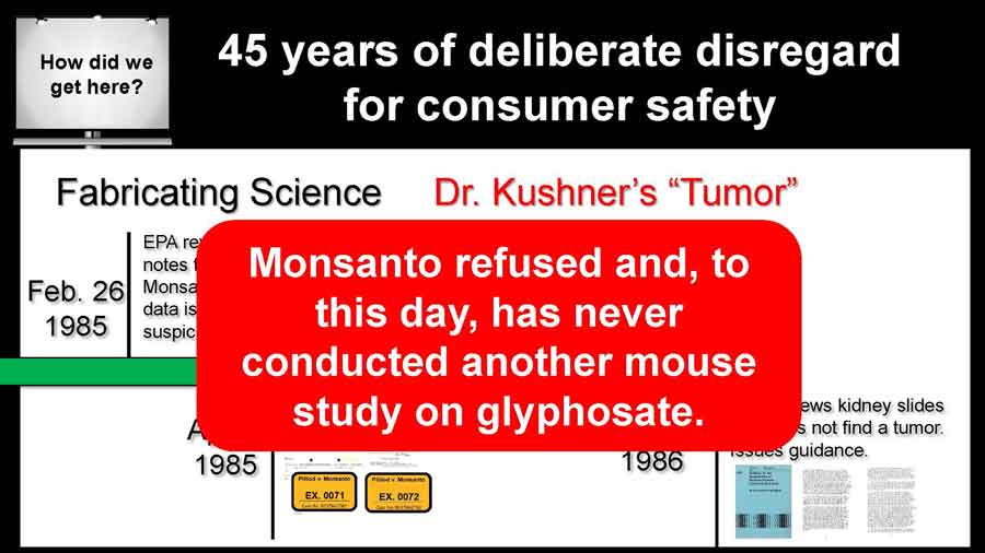 Monsanto refused and, to this day, has never conducted another mouse study on glyphosate.